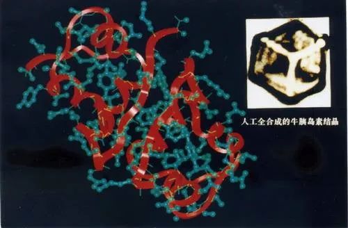 饶毅：我们尚未向世界证明中华民族是一个有智慧的民族