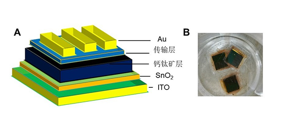 2019年度中国科学十大进展发布