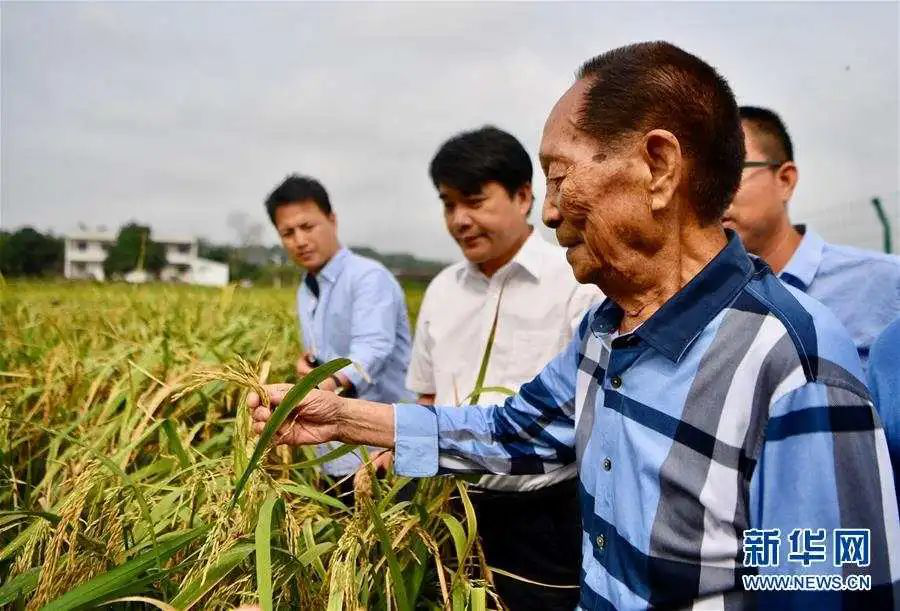 今天是袁隆平90岁生日！昨天的他超级可可爱爱……