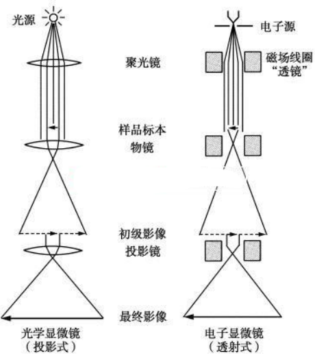 从诺奖看“中国被卡脖子的科技”