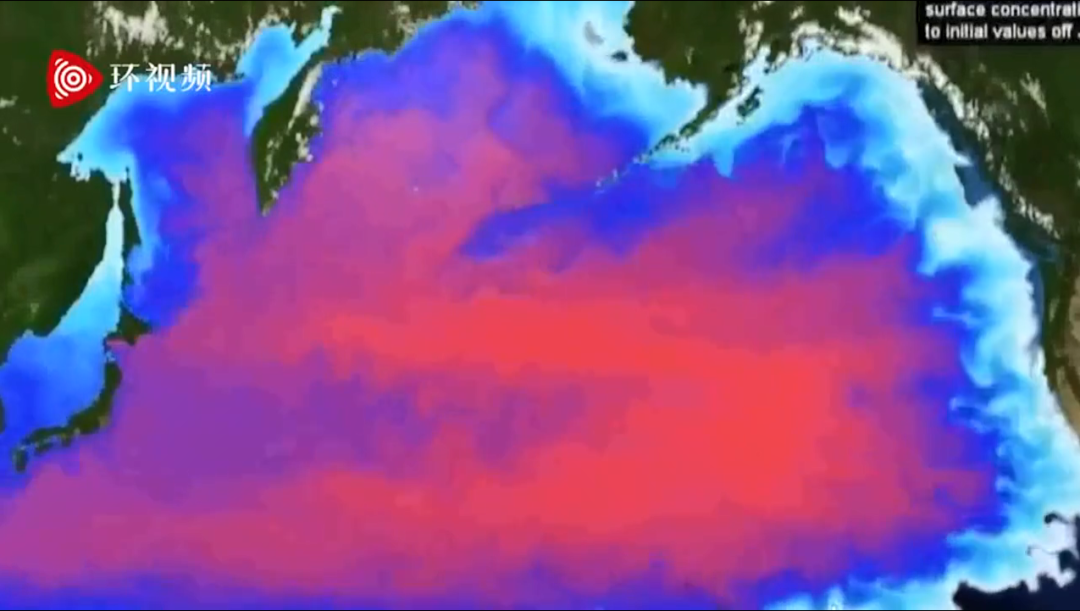极其不负责任！日本核废水入海，影响有多大？