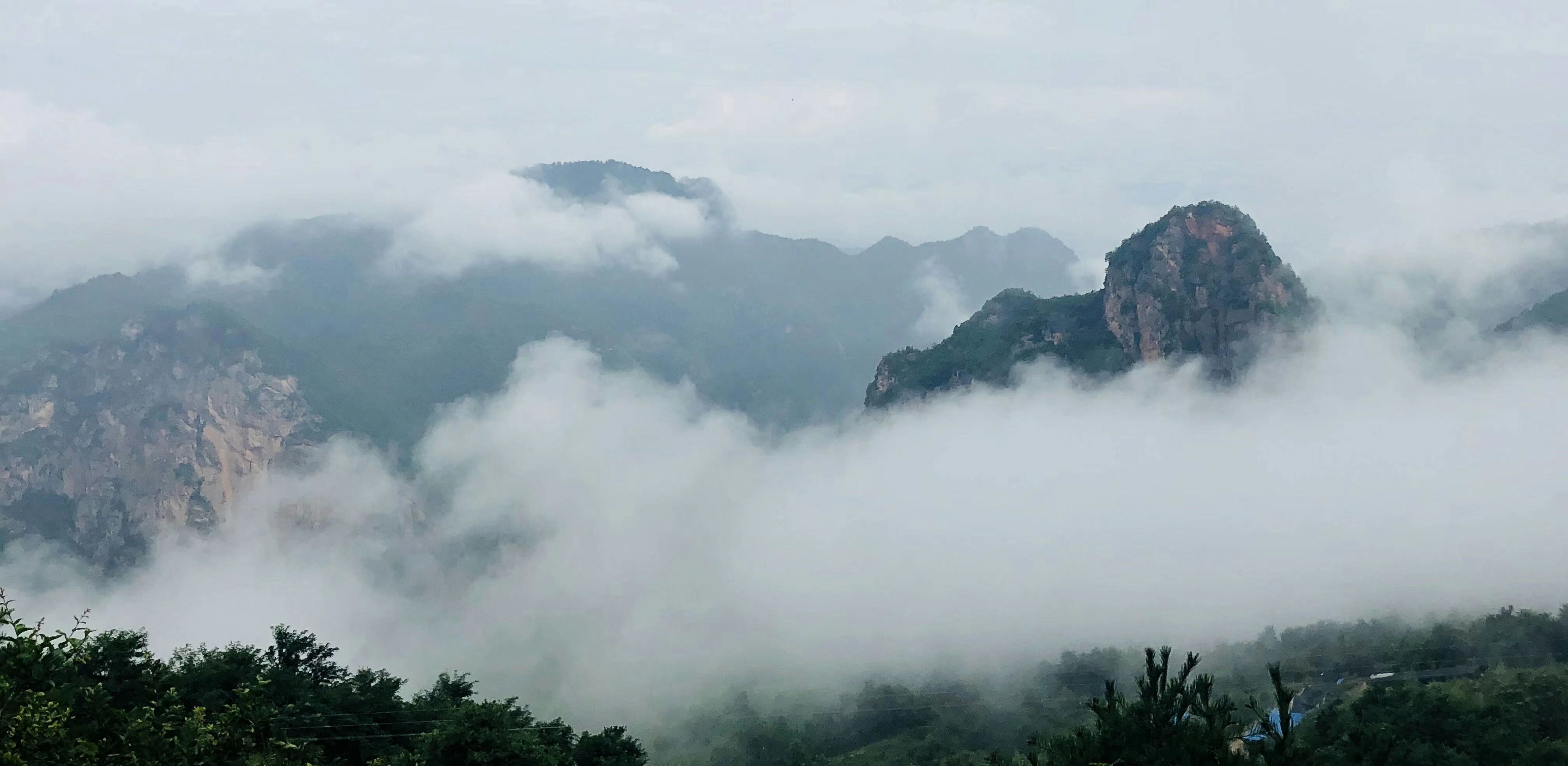 大自然给予四年级学生的珍贵教训