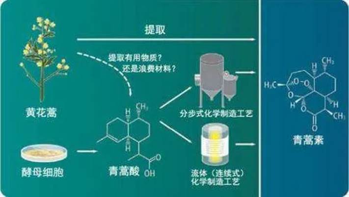 曝光一波，去年你没吃过的「大瓜」