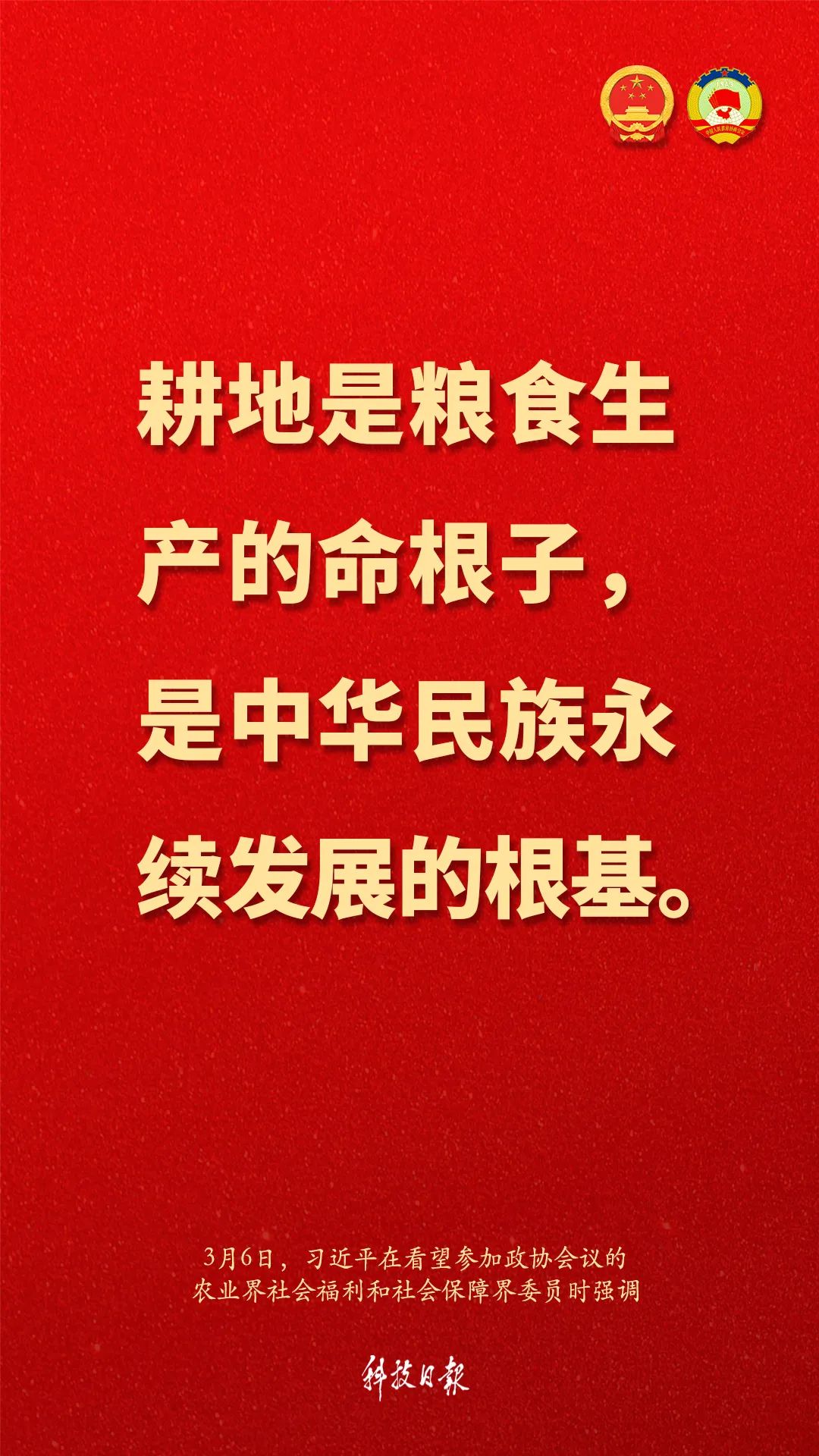 习近平：不要指望依靠国际市场来解决吃饭问题