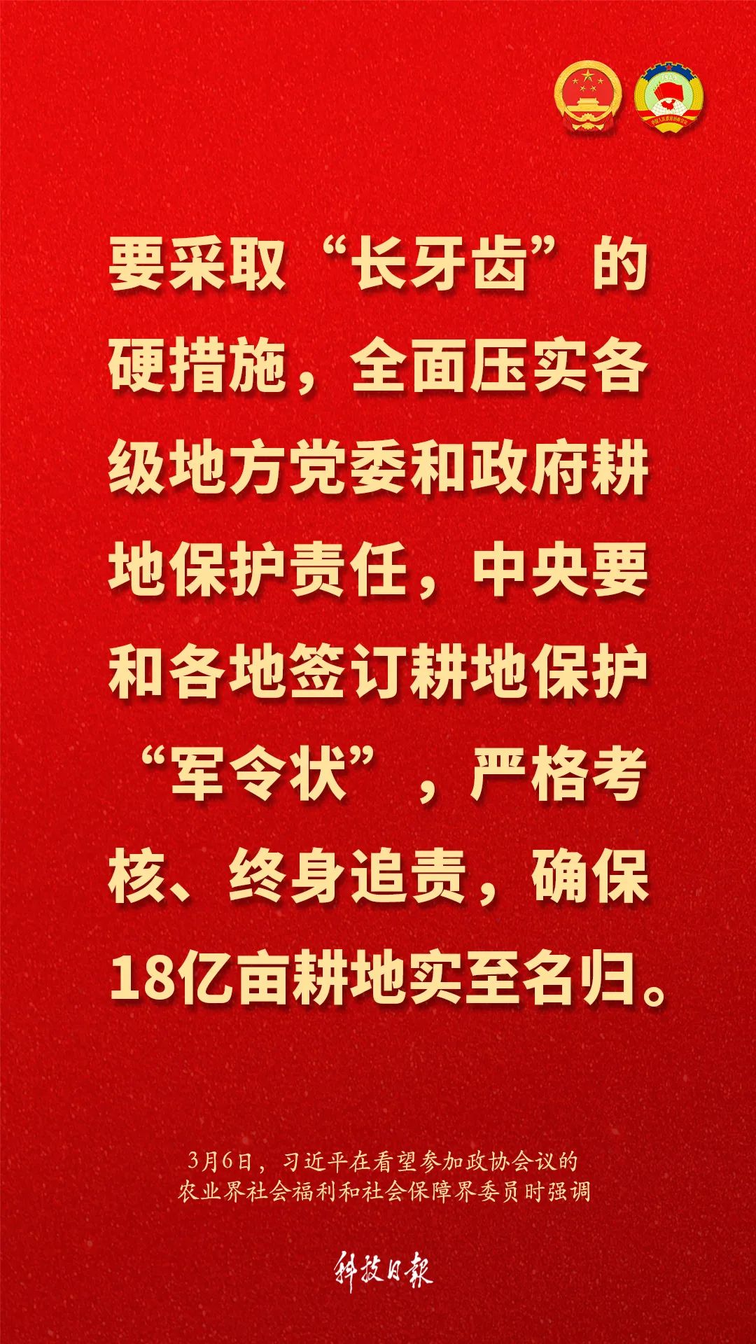 习近平：不要指望依靠国际市场来解决吃饭问题