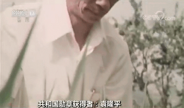 袁隆平：我奉劝从事科学研究的同志，要及时捕捉思想的火花