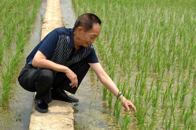 袁隆平：我奉劝从事科学研究的同志，要及时捕捉思想的火花