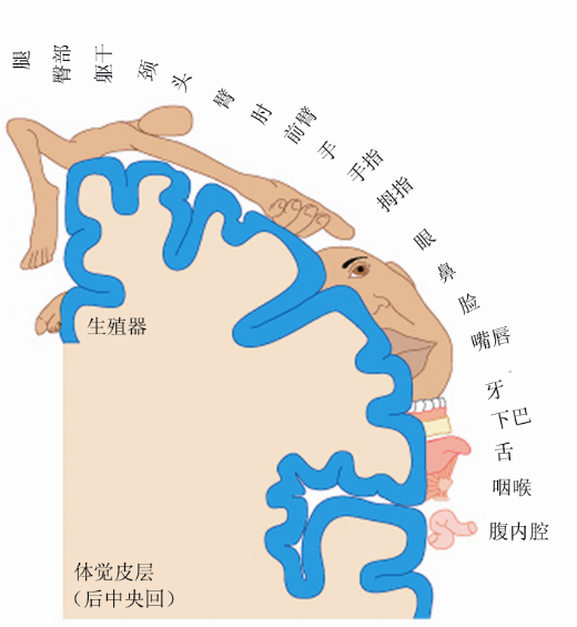 这些科学大师们的共同品质是什么？