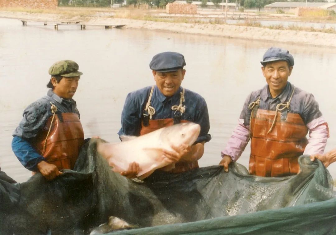 谢谢您，“鱼爷爷”！