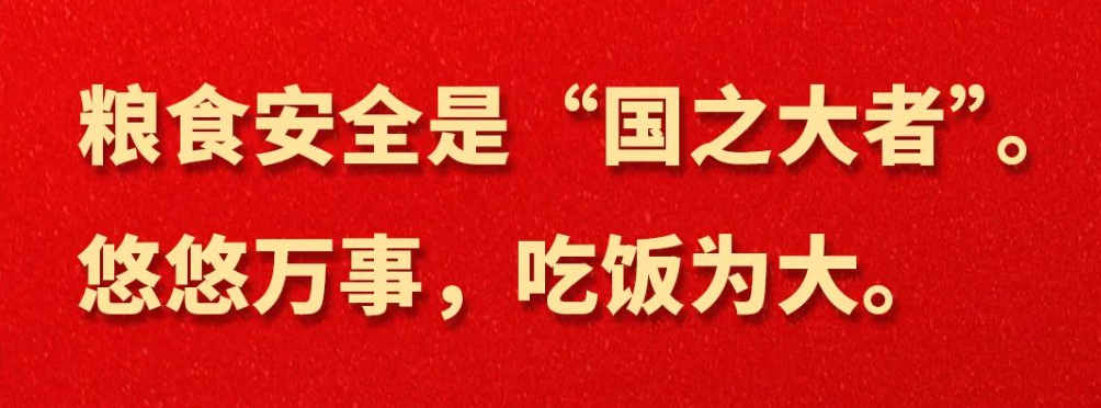 习近平：不要指望依靠国际市场来解决吃饭问题